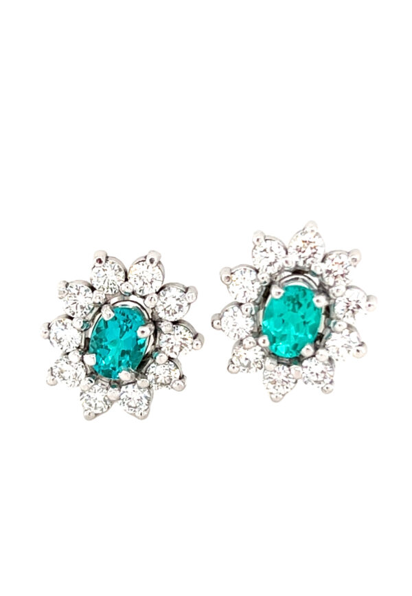 14K White Gold Paraiba Earrings